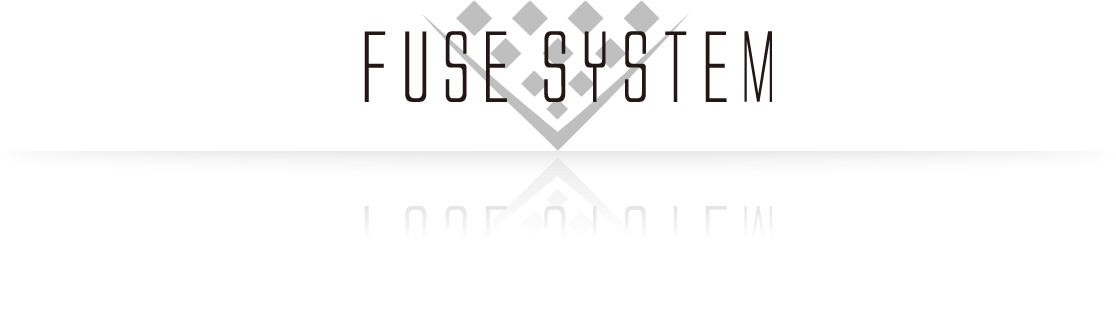 FUSE SYSTEM